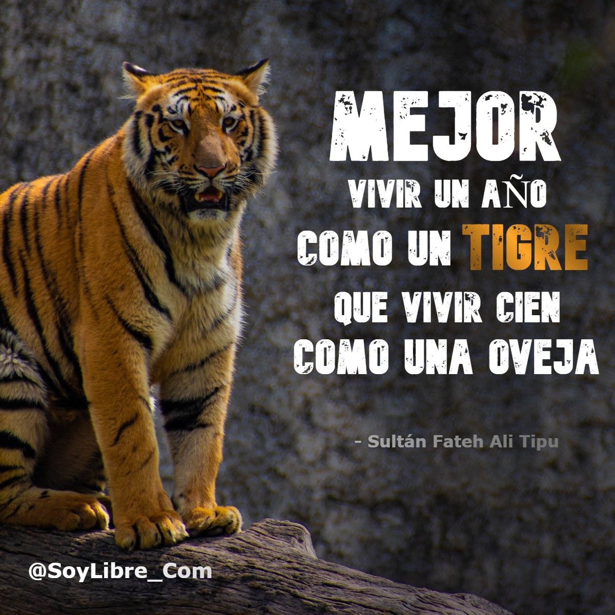 mejor vivir como un tigre